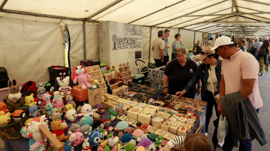 Feira das Flores de Vilarmaior (1)