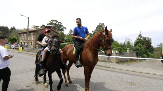 Feira das Flores de Vilarmaior (14)