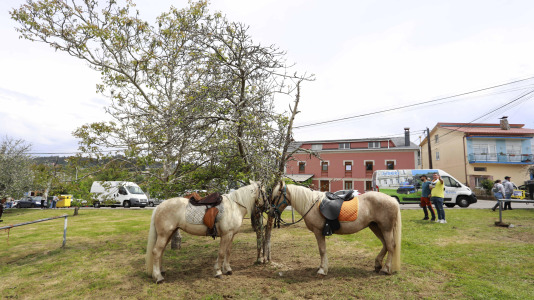 Feira das Flores de Vilarmaior (2)