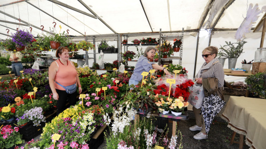 Feira das Flores de Vilarmaior (27)