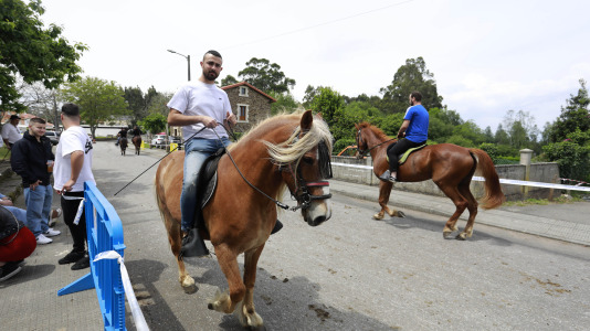 Feira das Flores de Vilarmaior (13)