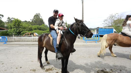 Feira das Flores de Vilarmaior (20)