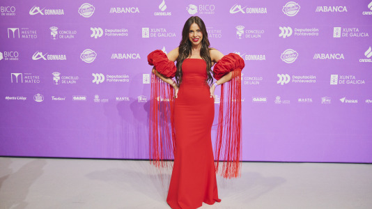 Premios Mestre Mateo 2025 @ M. Lamas (103)