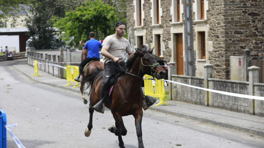 Feira das Flores de Vilarmaior (9)