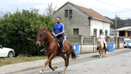 Feira das Flores de Vilarmaior (19)