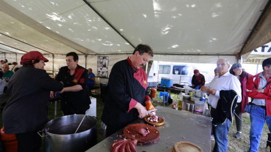 Feira das Flores de Vilarmaior (24)