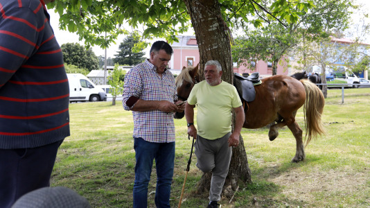 Feira das Flores de Vilarmaior (18)