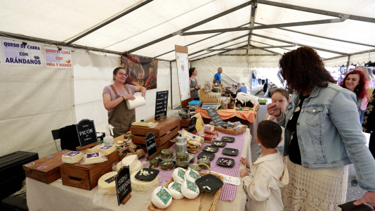 Feira das Flores de Vilarmaior (26)
