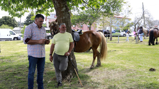Feira das Flores de Vilarmaior (32)