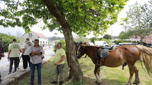 Feira das Flores de Vilarmaior (22)