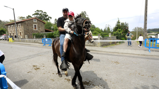 Feira das Flores de Vilarmaior (34)