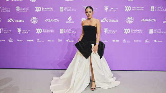 Premios Mestre Mateo 2025 @ M. Lamas (96)