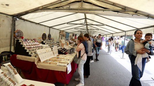 Feira das Flores de Vilarmaior (40)