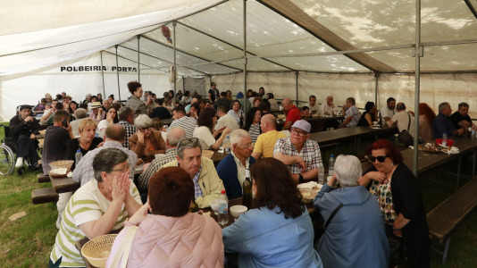 Feira das Flores de Vilarmaior (23)