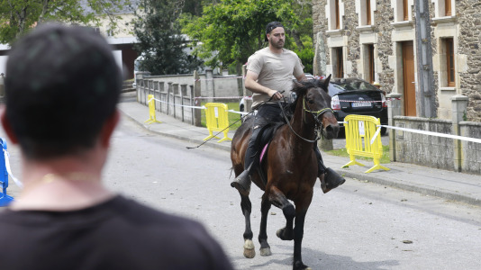 Feira das Flores de Vilarmaior (8)