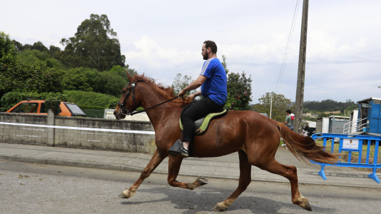 Feira das Flores de Vilarmaior (15)
