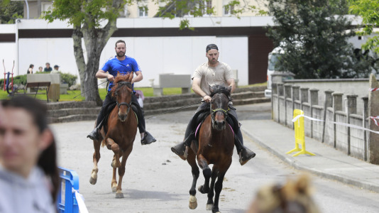 Feira das Flores de Vilarmaior (11)