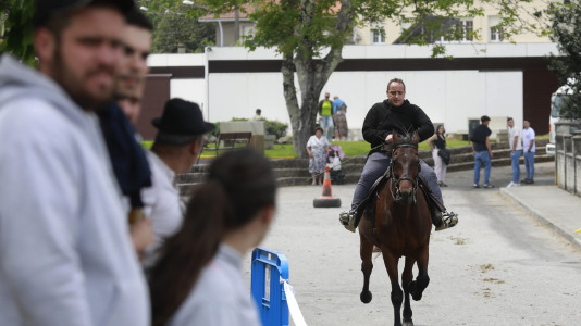 Feira das Flores de Vilarmaior (29)