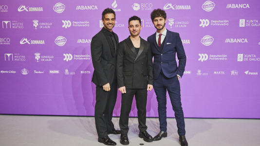 Premios Mestre Mateo 2025 @ M. Lamas (93)