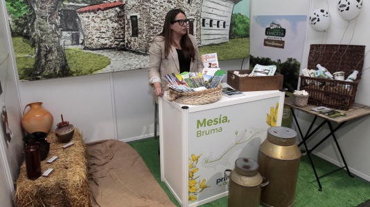 Feria do Camiño Inglés en Miño @ Quintana (10)