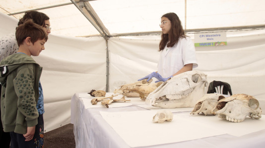 Cullerciencia en O Burgo @Quintana (7)