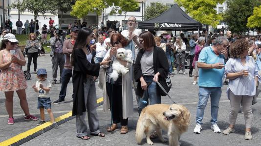 Festa dos Porcos de Labañou @ Quintana (38)