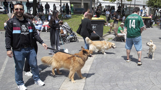 Festa dos Porcos de Labañou @ Quintana (24)