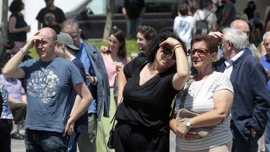 Festa dos Porcos de Labañou @ Quintana (17)