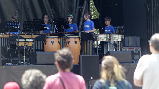 Festa dos Porcos de Labañou @ Quintana (9)