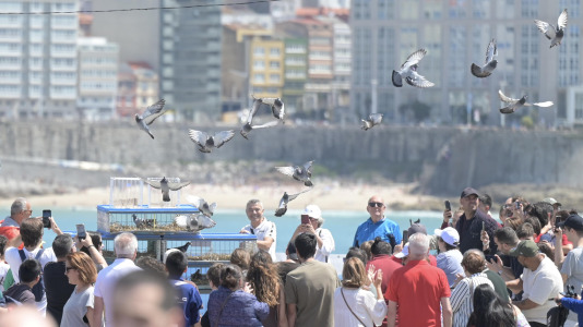 Dia do deporte na rua 2025 @Javier Albores (43)