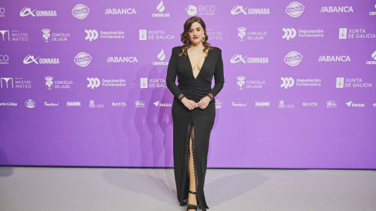 Premios Mestre Mateo 2025 @ M. Lamas (1)