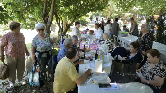 VII Romaría de Alternativa (1)