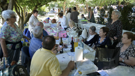 VII Romaría de Alternativa (21)