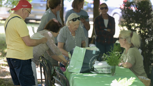 VII Romaría de Alternativa (13)