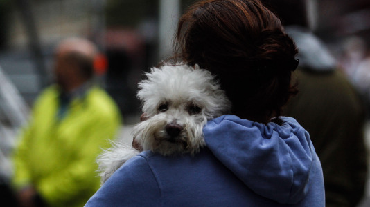 Fiestas del Ventorrillo @Quintana (5)