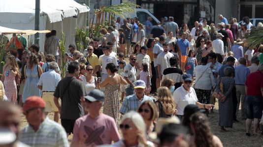 Feira da Cebola Chata en Miño FOTO Quintana (6)