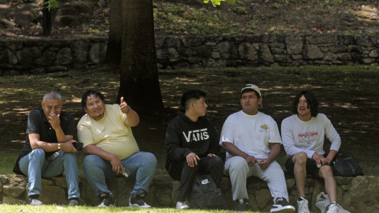 La comunidad peruana de A Coruña celebra su día nacional. FOTO Quintana (26)