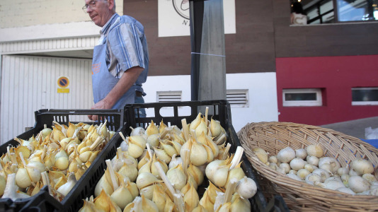Feira da Cebola Chata en Miño FOTO Quintana (9)