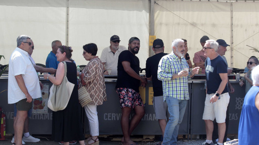 Feira da Cebola Chata en Miño FOTO Quintana (17)