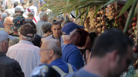 Feira da Cebola Chata en Miño FOTO Quintana (1)