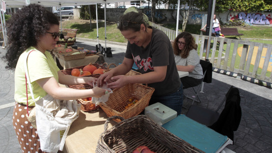 Mercado ecológico en la plaza de La Tolerancia. Foto: Quintana (9)