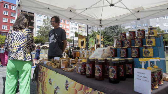 Mercado ecológico en la plaza de La Tolerancia. Foto: Quintana (8)
