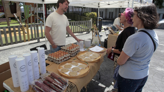 Mercado ecológico en la plaza de La Tolerancia. Foto: Quintana (7)