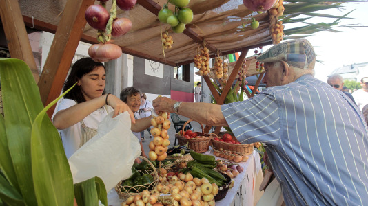 Feira da Cebola Chata en Miño FOTO Quintana (8)