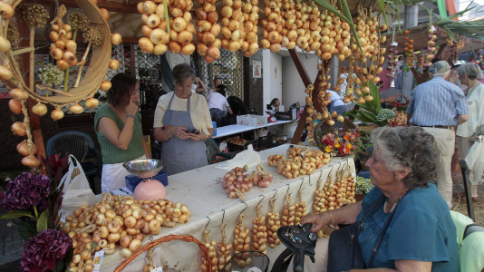Feira da Cebola Chata en Miño FOTO Quintana (7)
