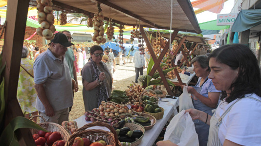 Feira da Cebola Chata en Miño FOTO Quintana (4)