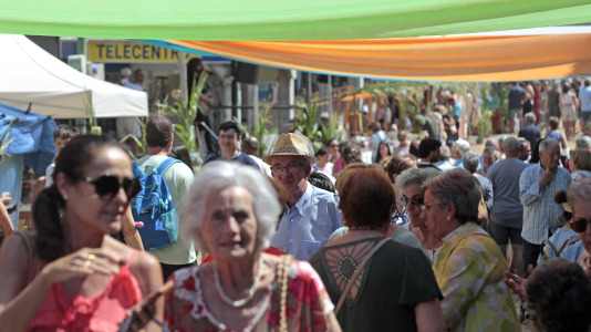 Feira da Cebola Chata en Miño FOTO Quintana (3)