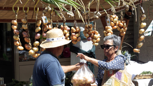Feira da Cebola Chata en Miño FOTO Quintana (2)