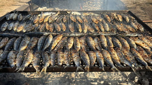 Sardiñada de Sada (15)