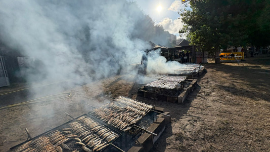 Sardiñada de Sada (16)